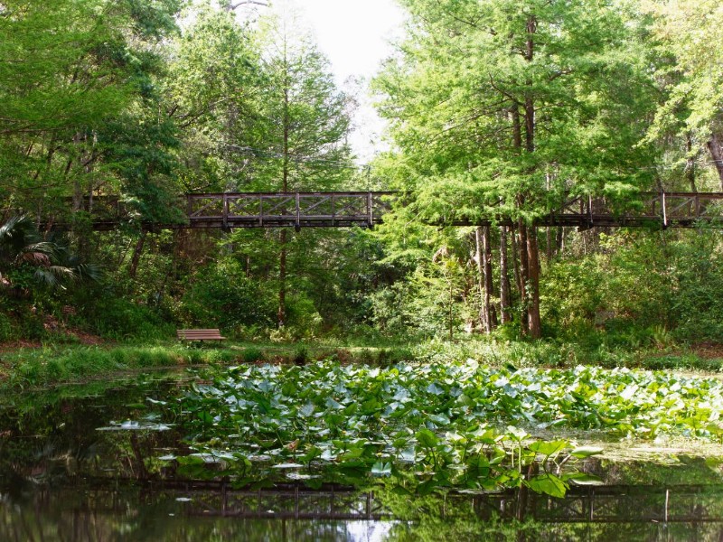 Ravine Gardens State Park