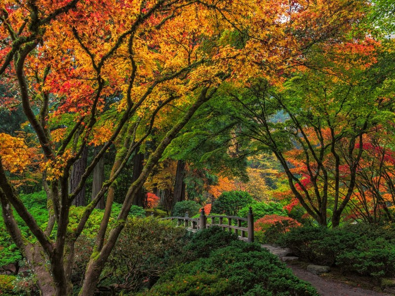 Portland Japanese Garden, Oregon