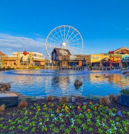 rocks and waterfront at the island pigeon forge