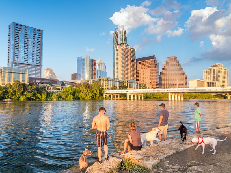 People and dogs with a view of Austin Texas downtown skyline
