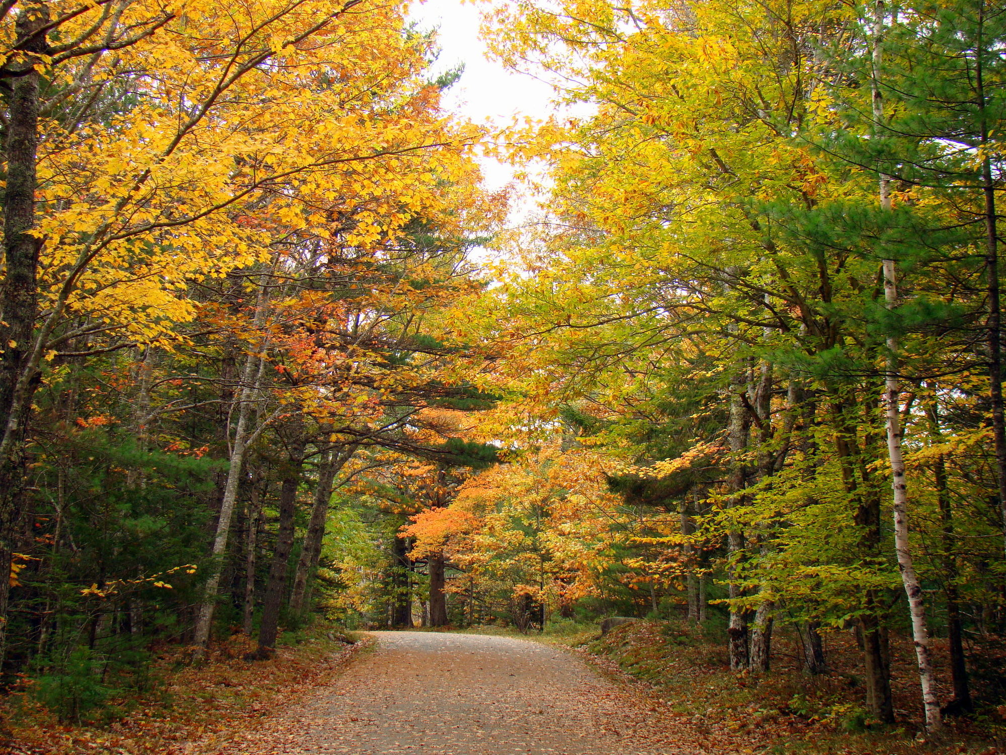 Acadia National Park