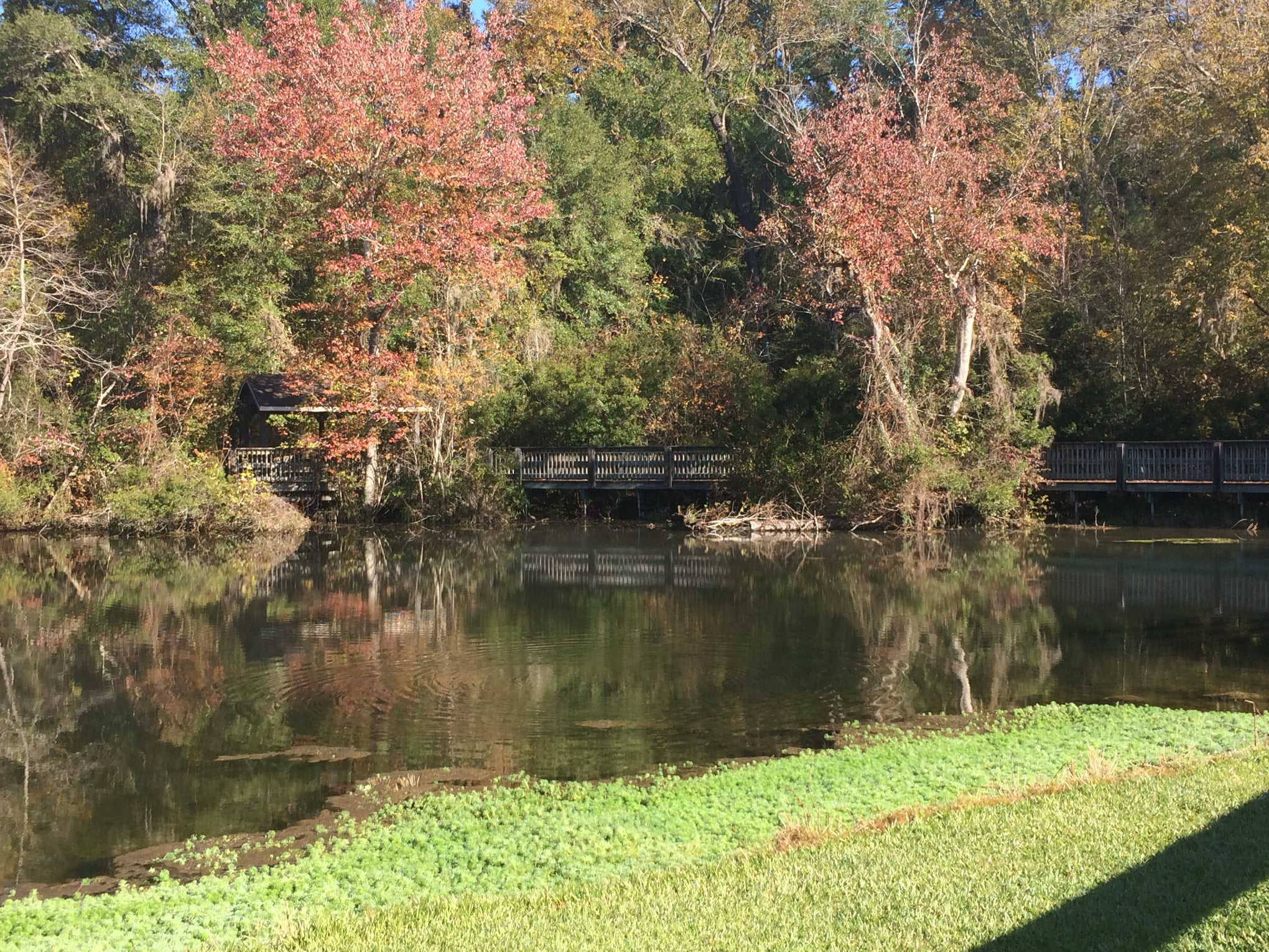 Magnolia Springs State Park