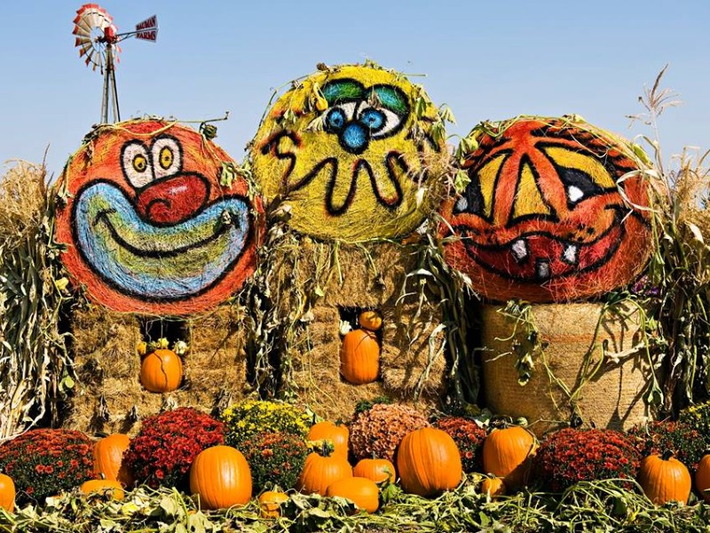 Display at Bauman's Farm and Garden