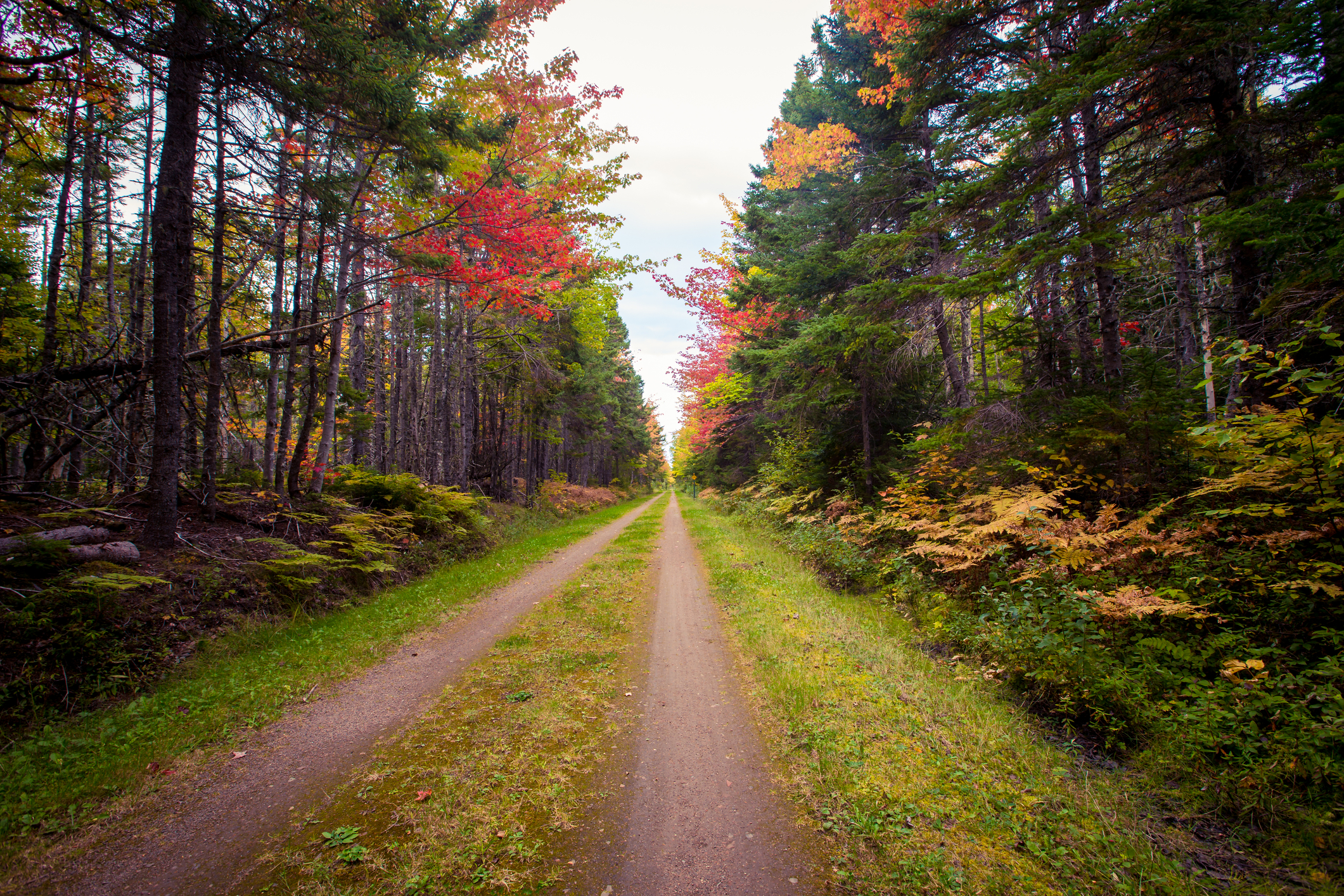 Confederation Trail in Prince Edward Island