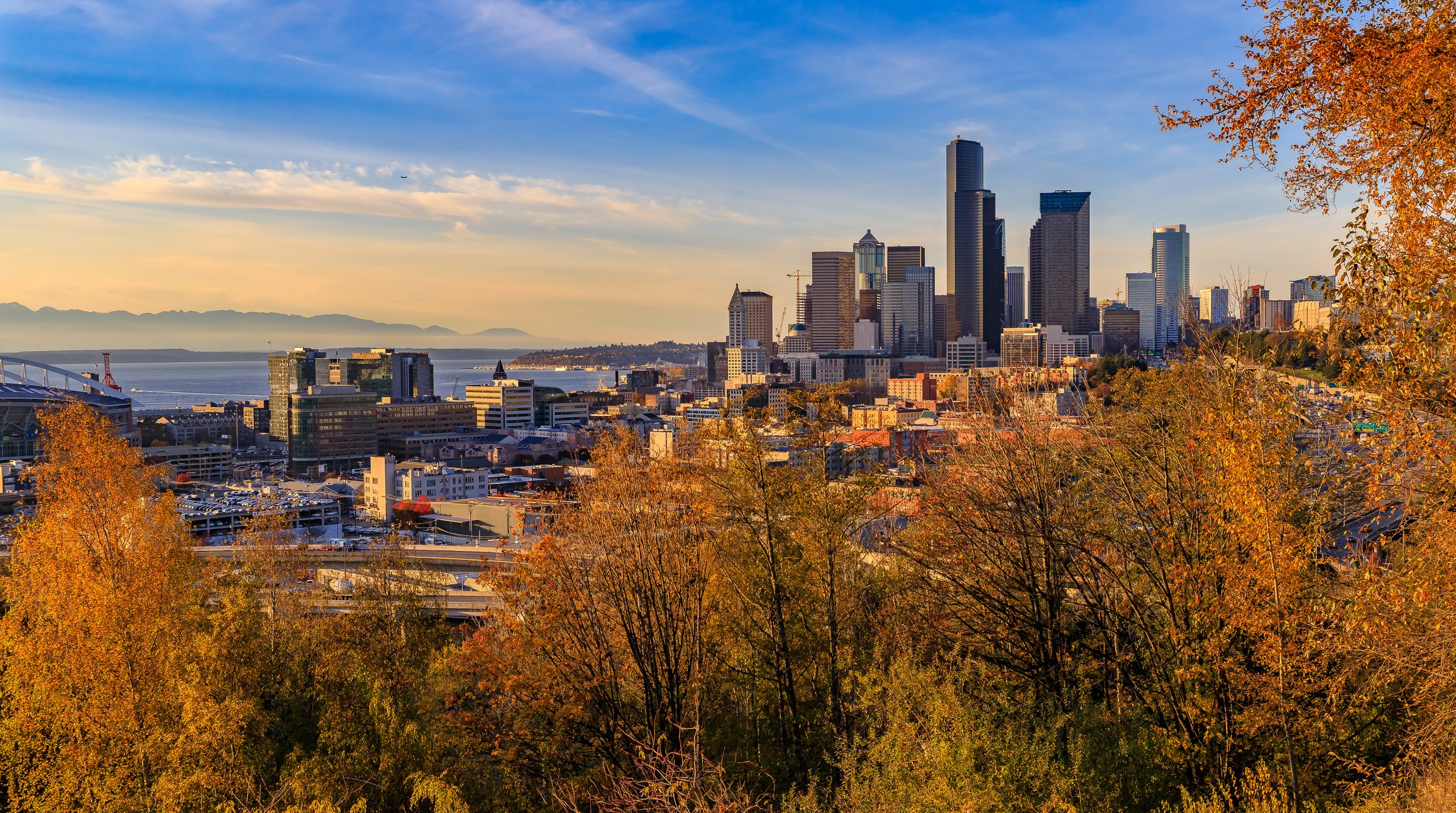 Seattle Skyline in the Fall