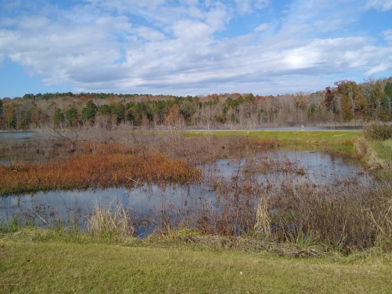 Ocmulgee Public Fishing Area