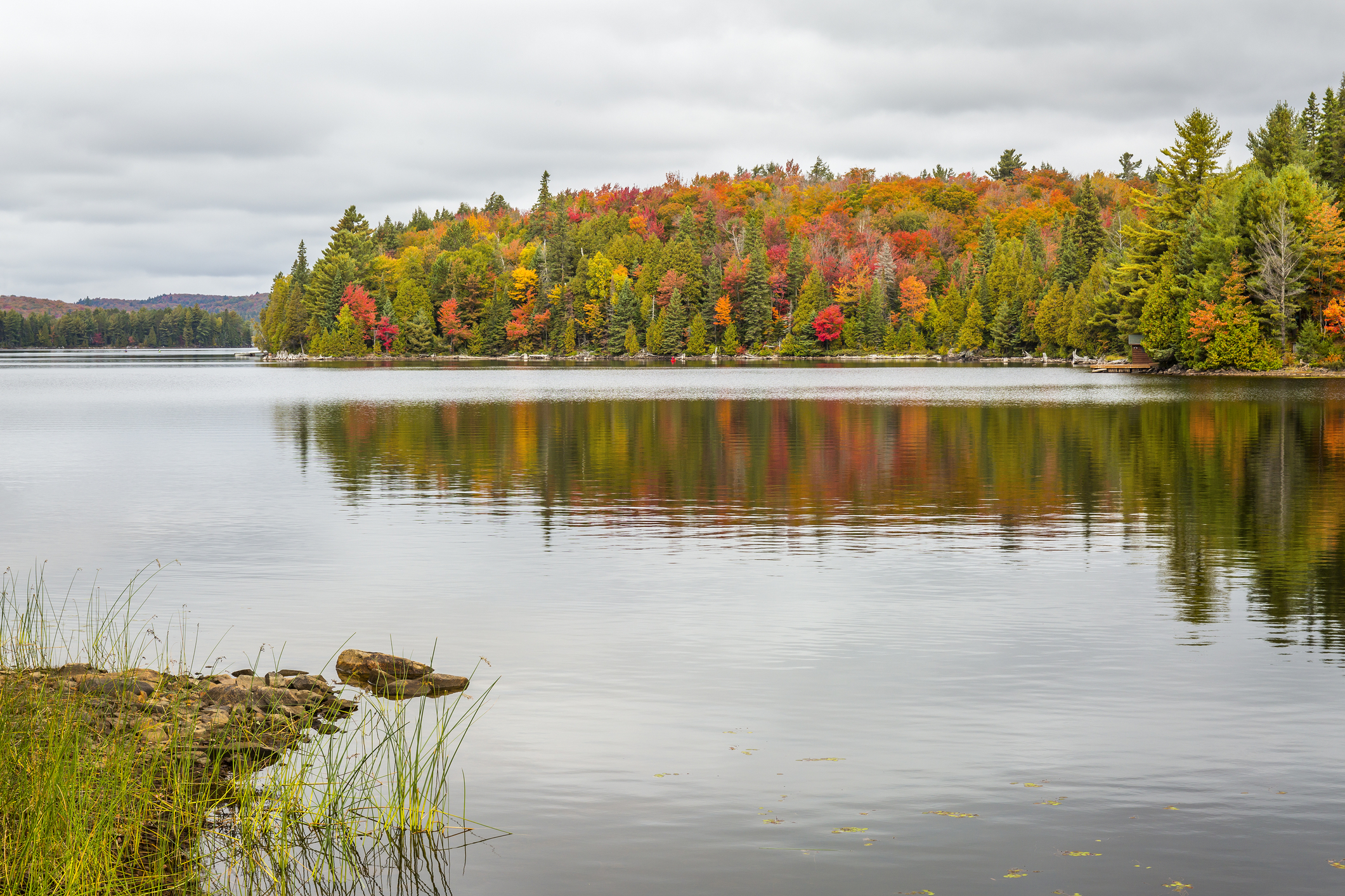 Algonquin Provincial Park, Ontario, Canada