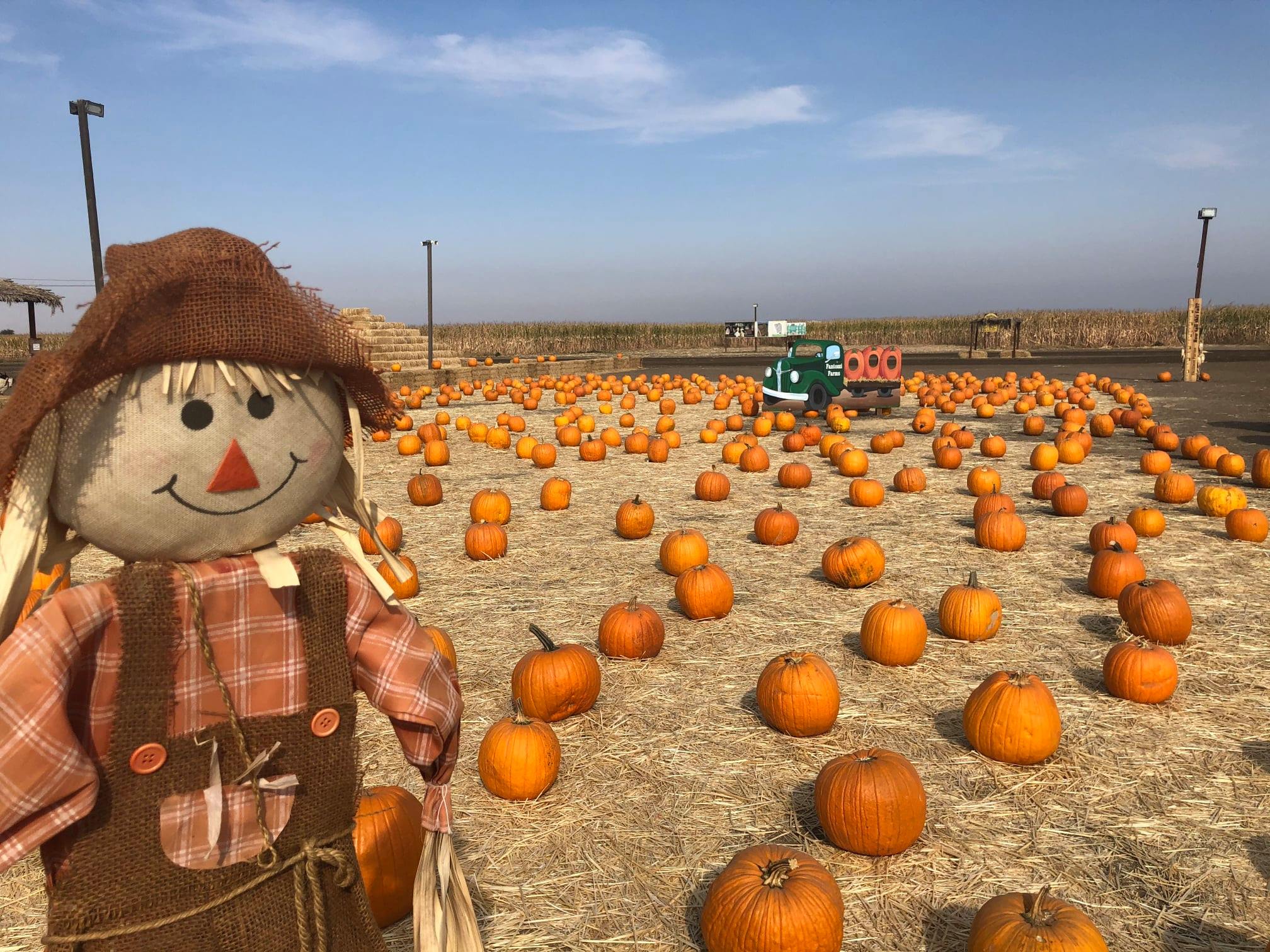 Fantozzi Farms Corn Maze and Pumpkin Patch