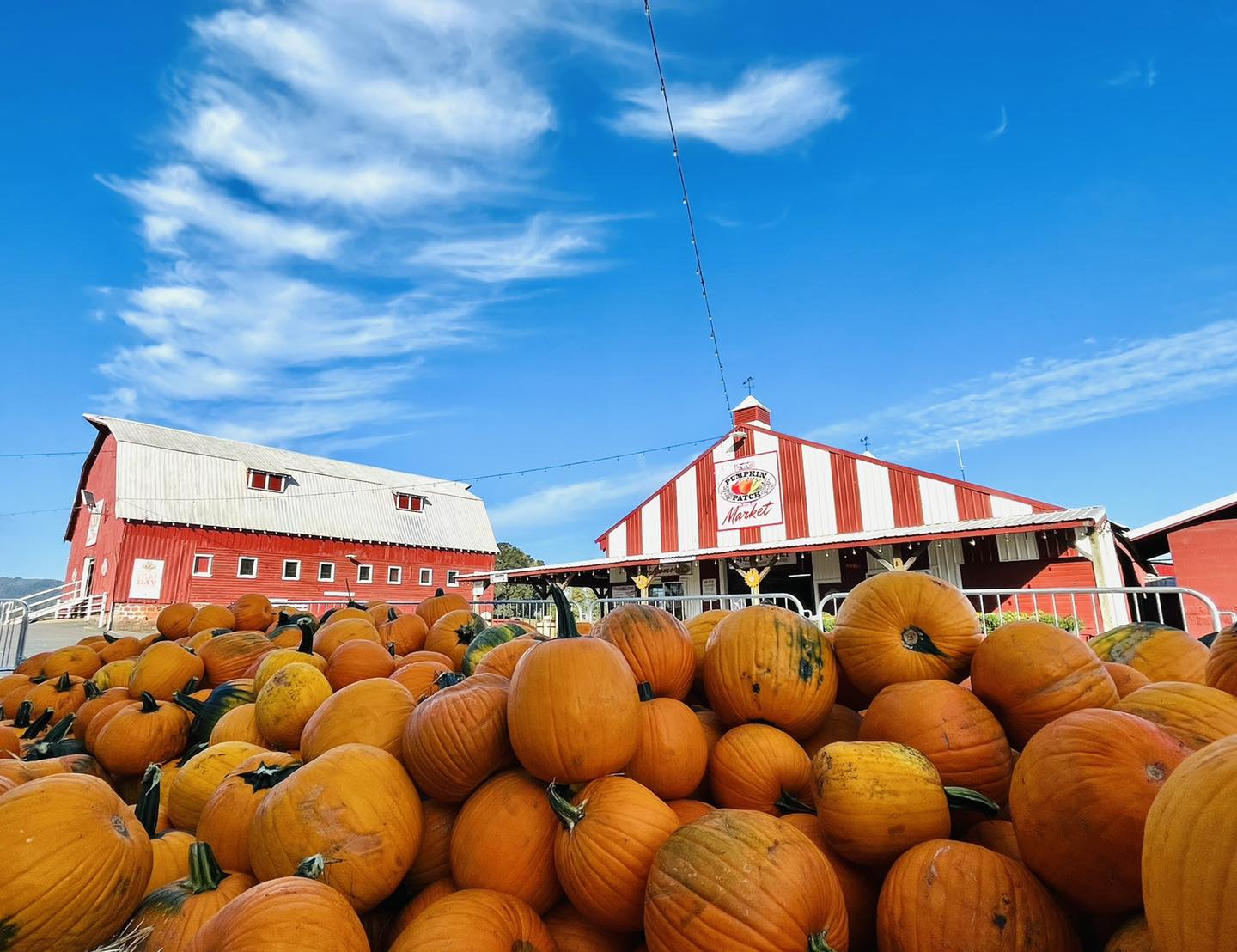 Pumpkin Patch Sauvie Island