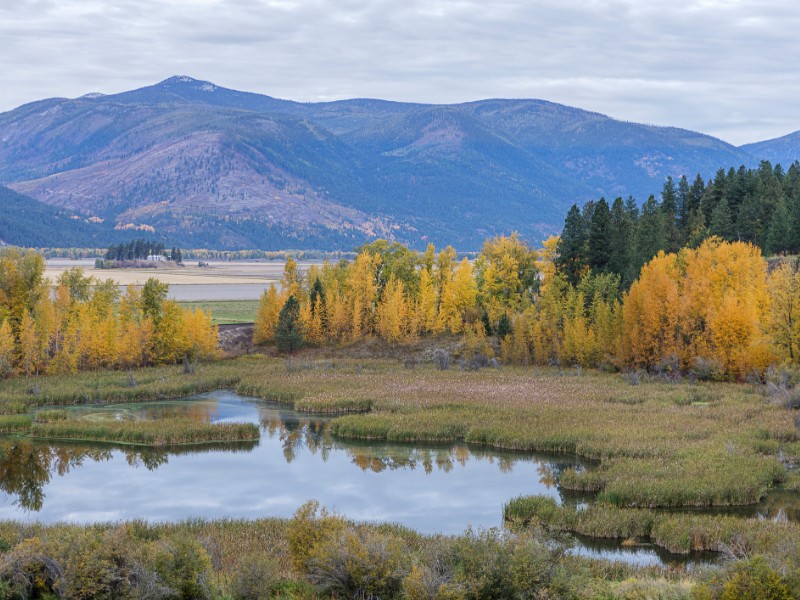 Bonners Ferry