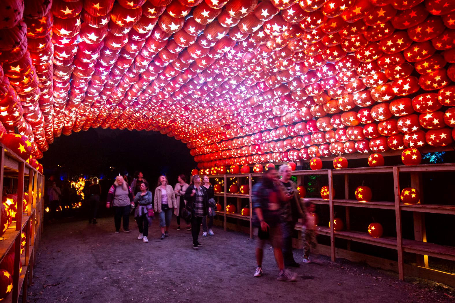 Great Jack O'Lantern Blaze