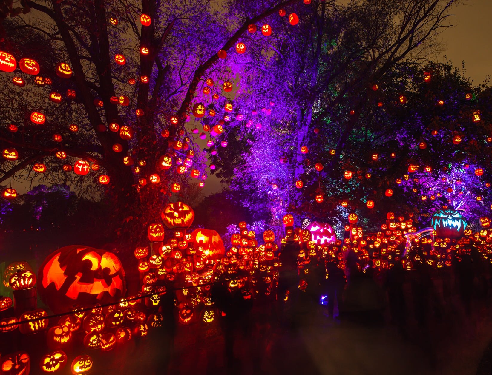 Jack-O-Lantern Spectacular at Roger Williams Park Zoo