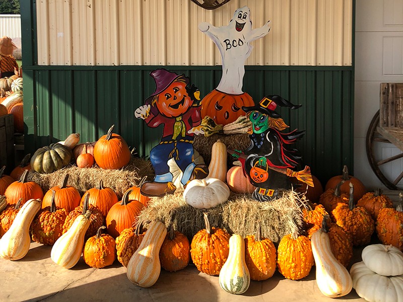 Naylor Family Farm, Fuquay Varina