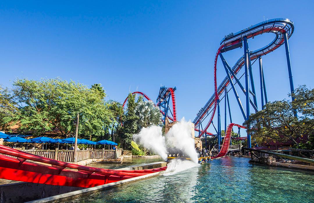 SheiKra, Busch Gardens Tampa Bay