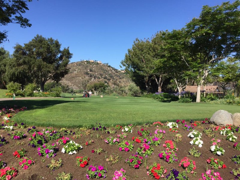 Course at Sycuan Golf Resort