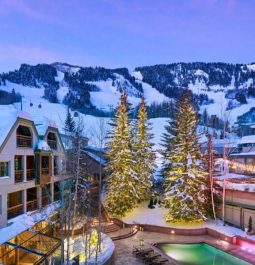 christmas trees lit up with snow mountains