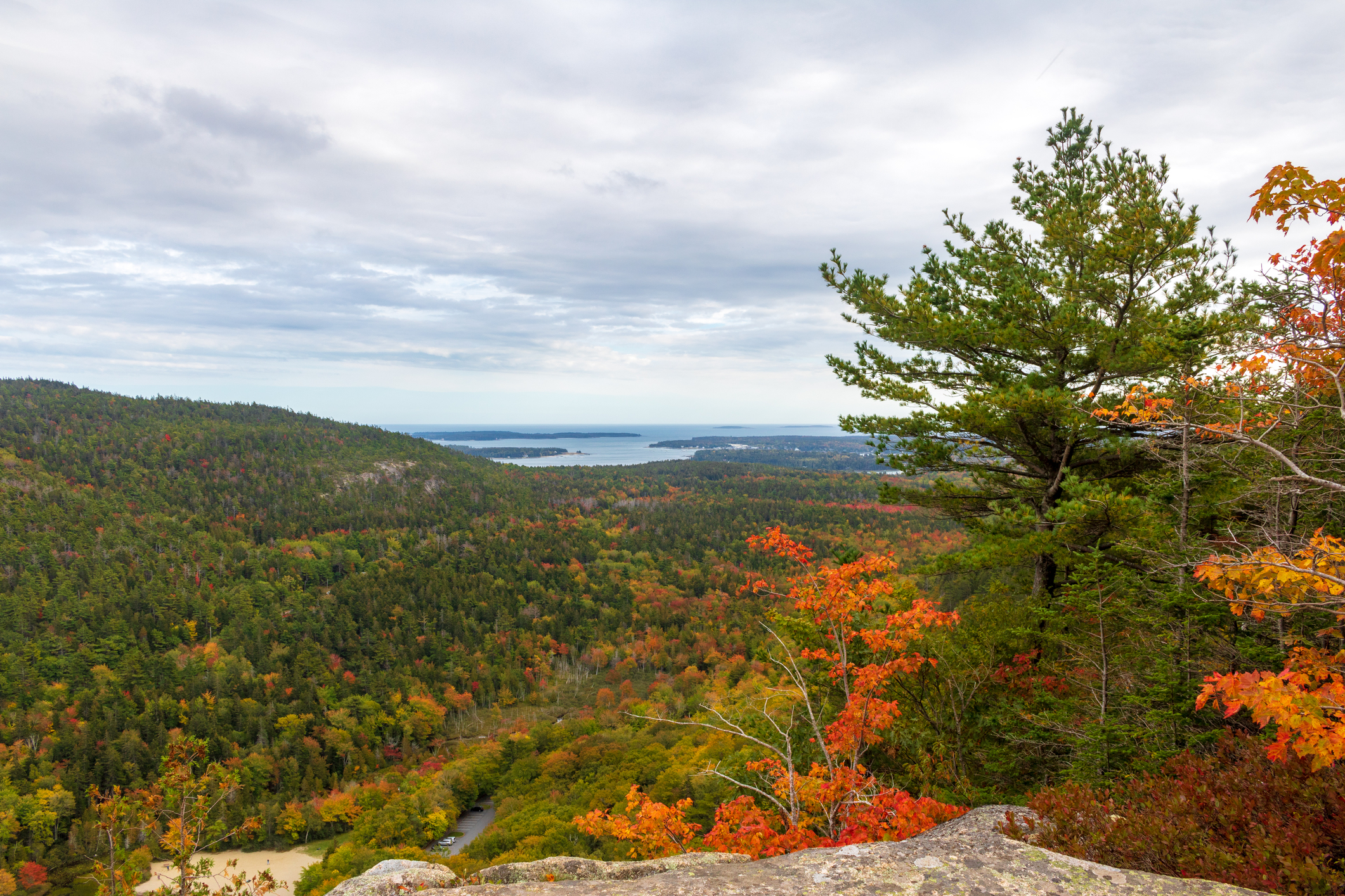 Beech Mountain