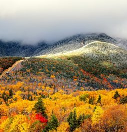 stunning fall foliage at White Mountain National Park