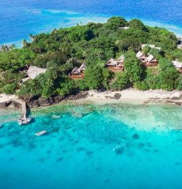 aerial view of island with trees and blue water