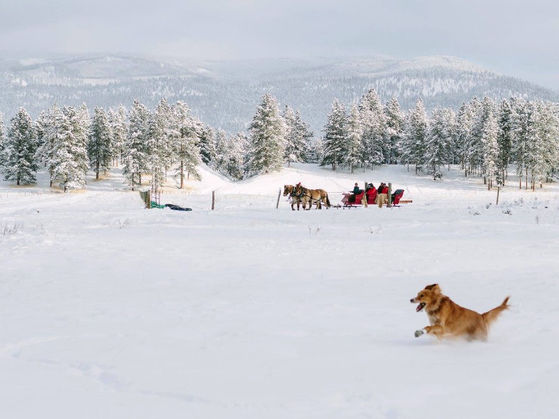 Winter at The Resort at Paws UP, Montana