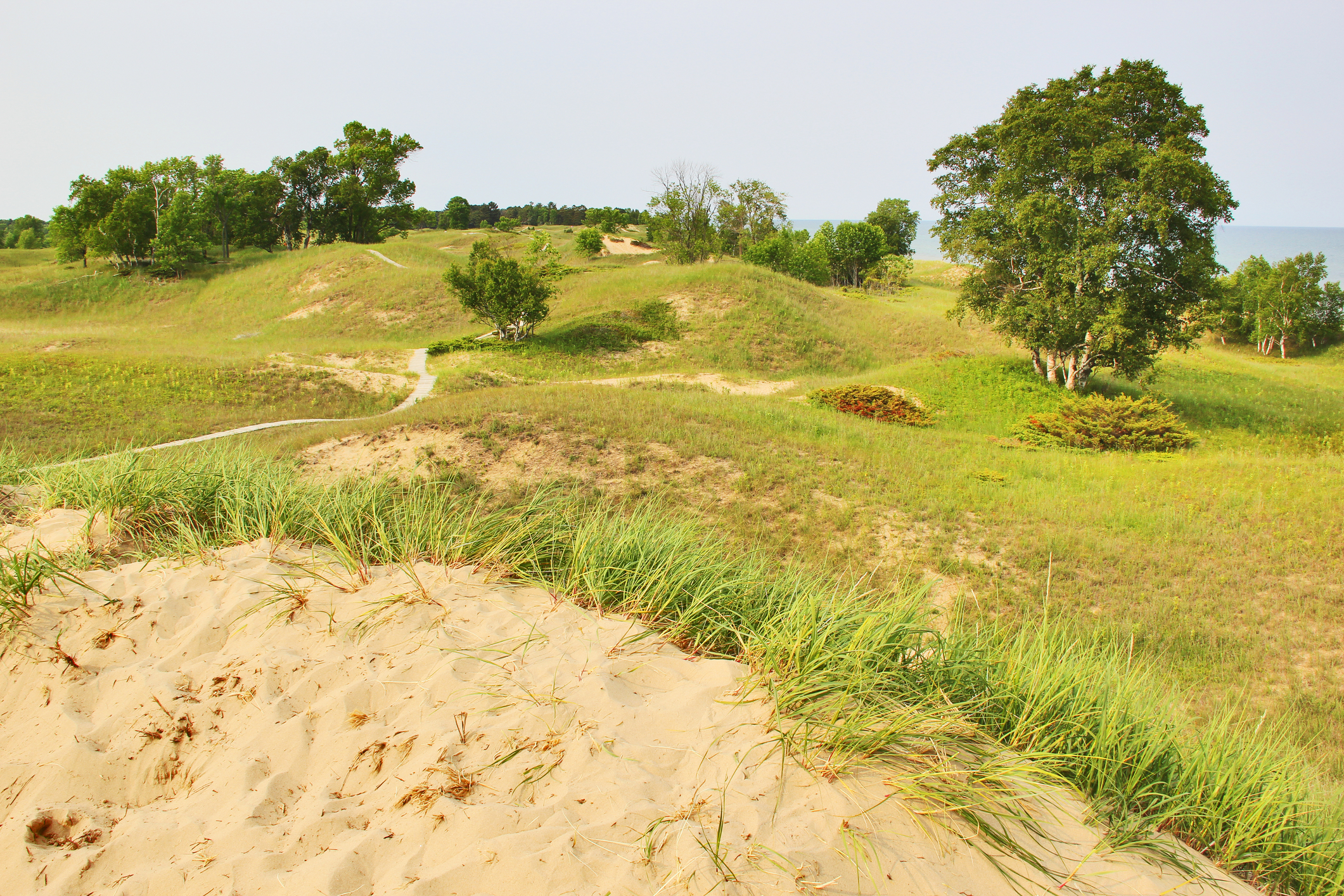 Kohler-Andrae State Park