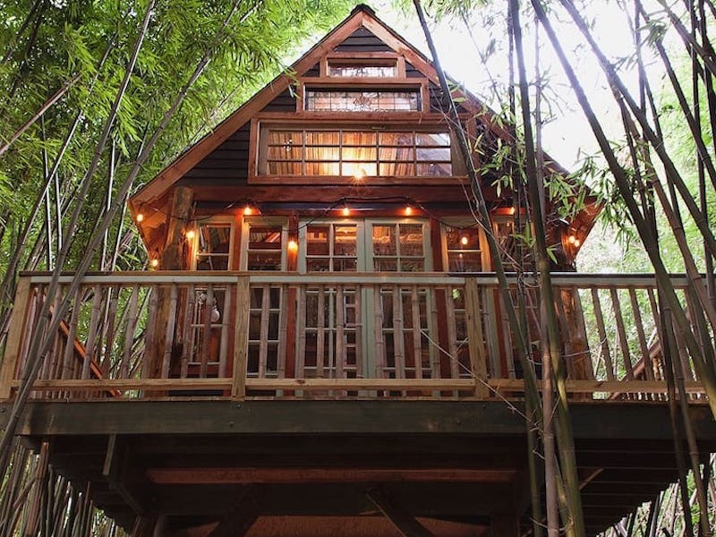 alpaca treehouse airbnb