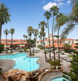 pool with palm trees