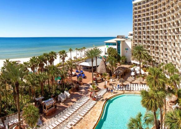 pool and beachfront with palm trees