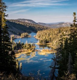 A lake carves through tree-line mountains