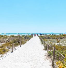 sandy pathway leading to beach in distance