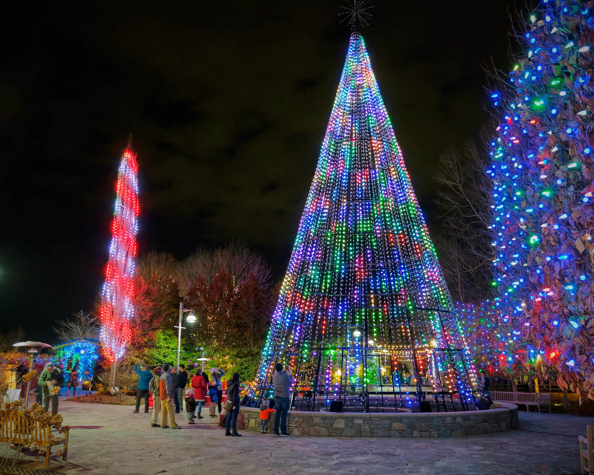 Winter Lights at the NC Arboretum 