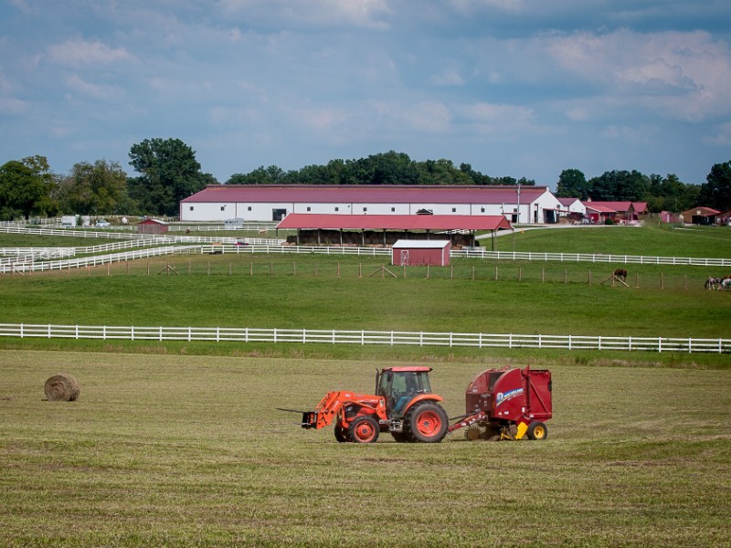 Clearview Horse Farm