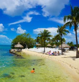 key largo beaches with swimmers