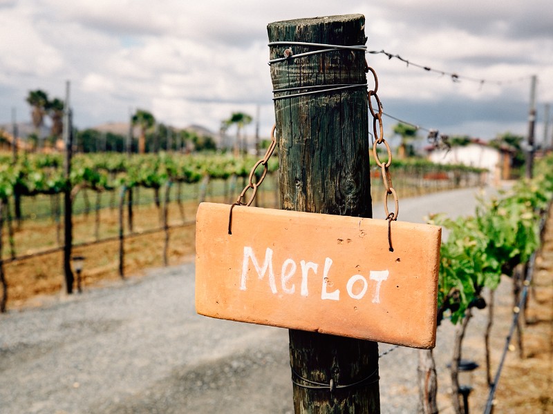 Merlot sign at Lechuza Wines, Baja California Sur, Mexico