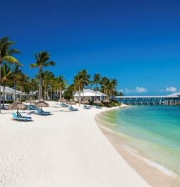 beachfront cottages with loungers on the sand right next to the water