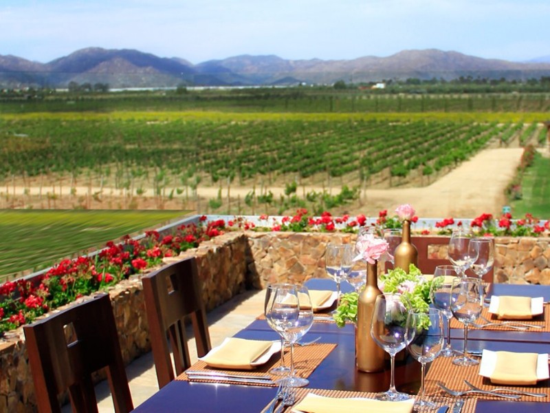 El Cielo Winery, Guadalupe Valley, Baja California, Mexico