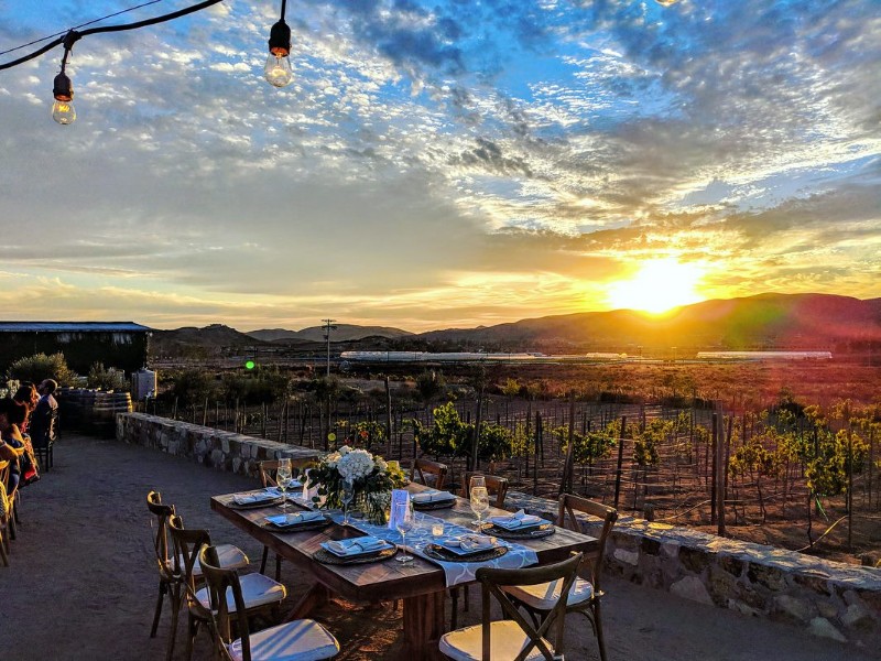 Vinos Xecue, Baja California Sur, Mexico