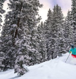 person skiing on snowy trees in blue jacket winter park