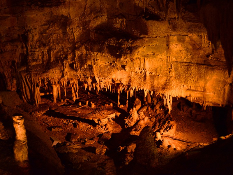 Mammoth Cave National Park is home to the largest cave system in the world.