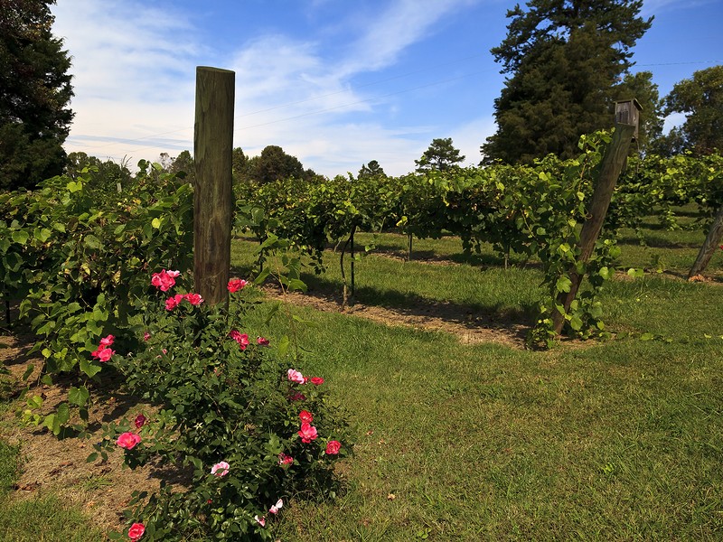 Lexington is home to Childress Vineyards, owned by NASCAR team owner, Richard Childress.