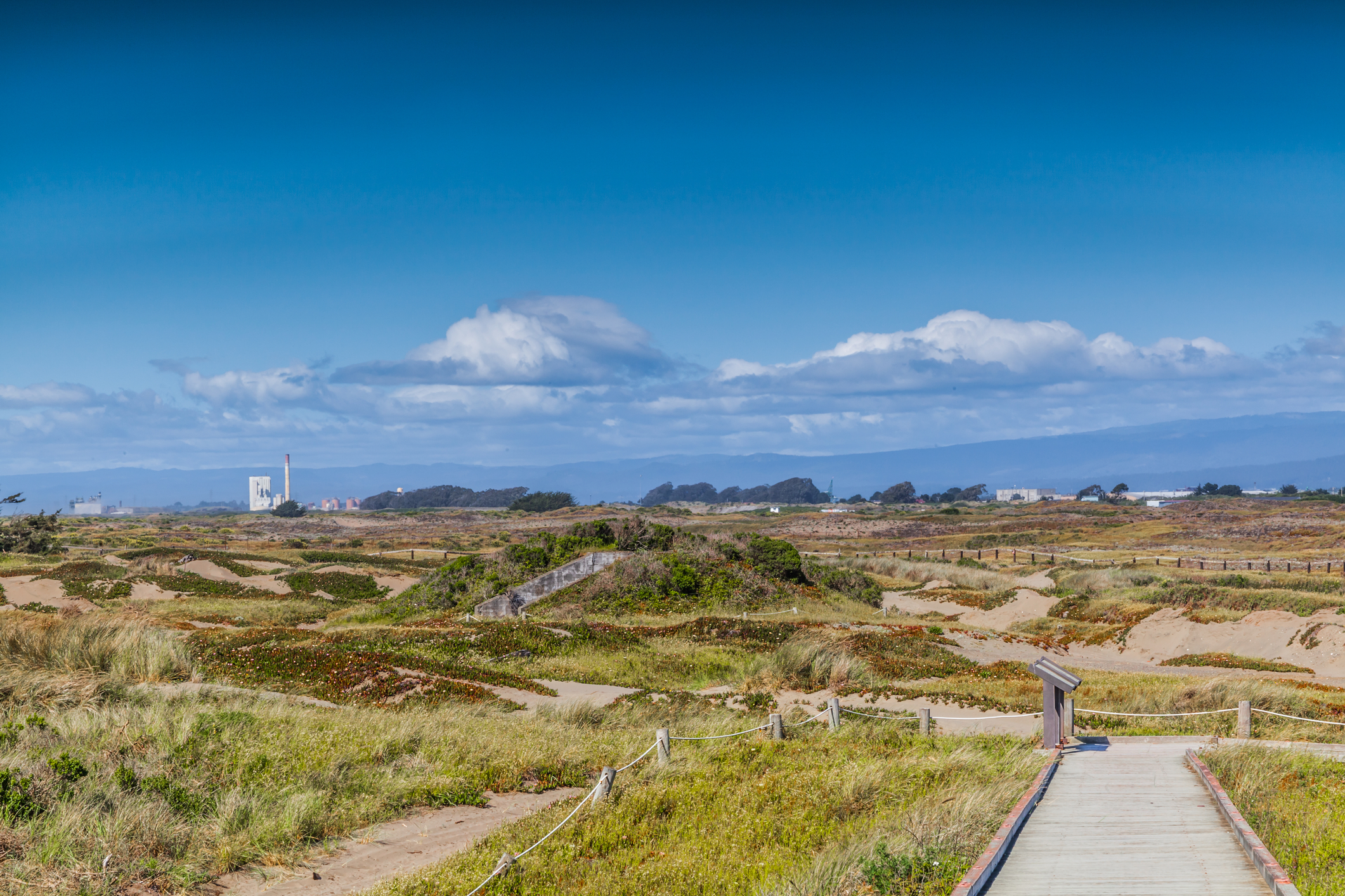 Samoa Dunes in Eureka, California