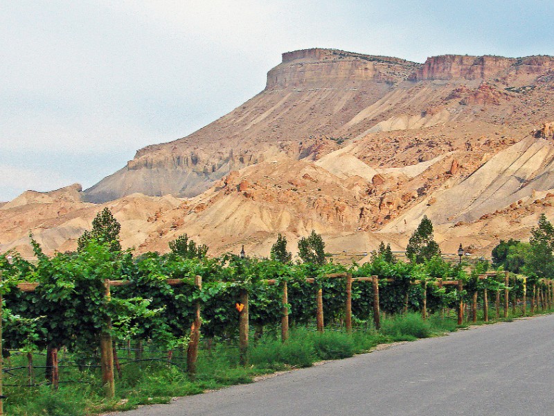 Palisade, Colorado