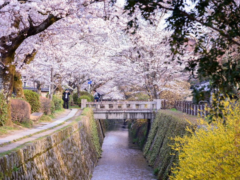 Philosophers Path, Kyoto