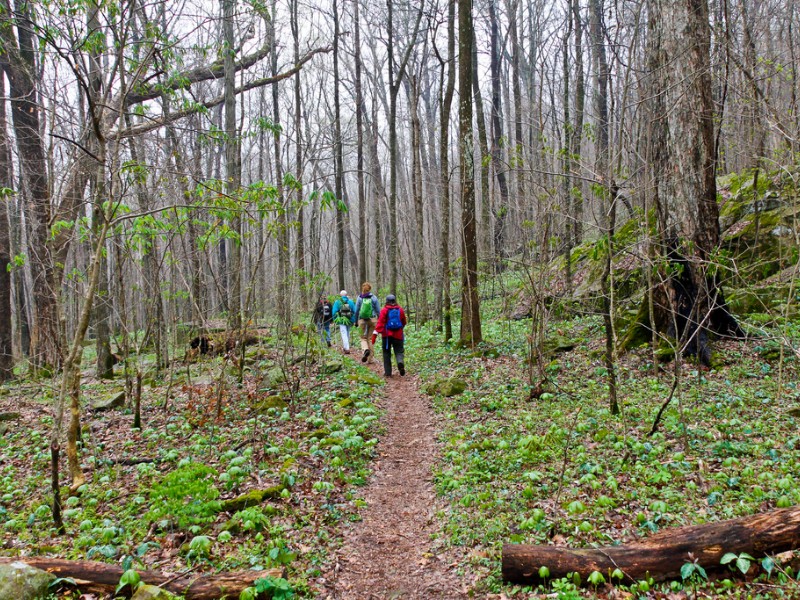 Sewanee Perimeter Trail in Sewanee, Tennessee