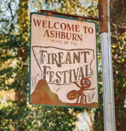 Fire Ant Festival sign