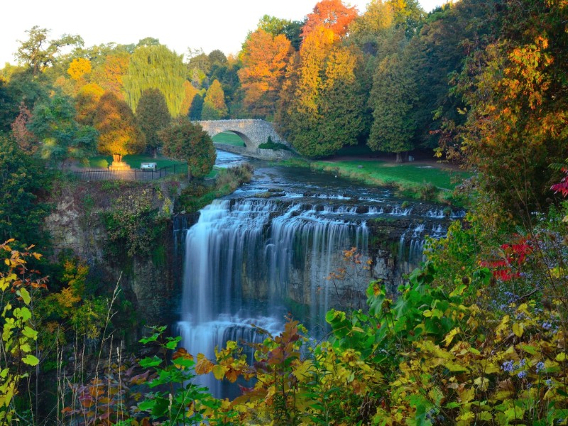 Webster Falls