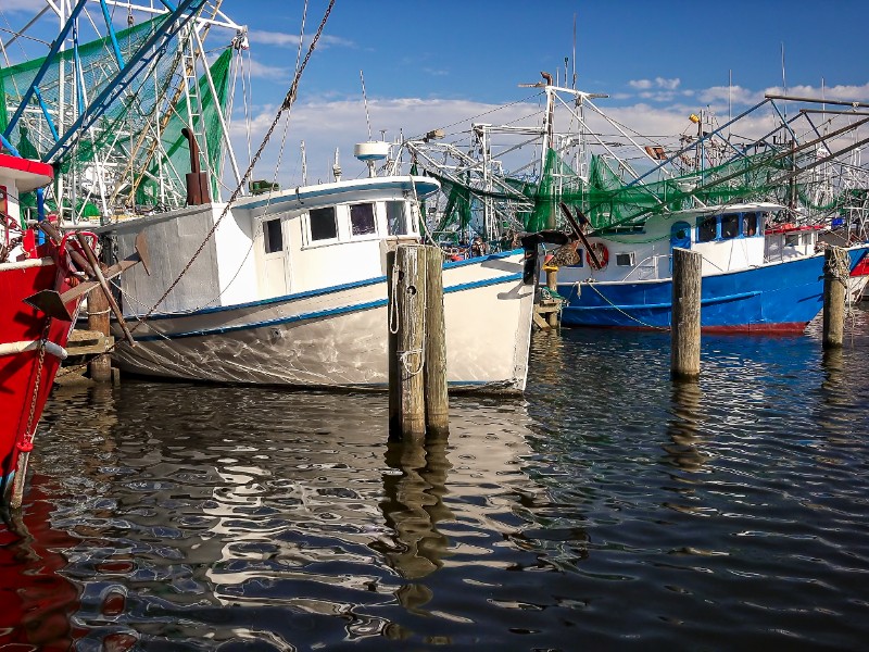 Colorful shrimp fishing boats docked in harbor at Biloxi