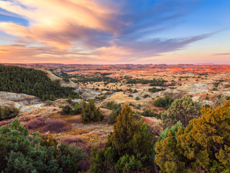 Theodore Roosevelt National Park