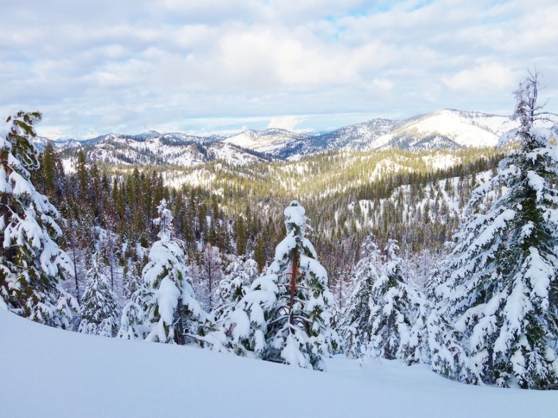 Wenatchee Crest snowshoe &cross country ski trail