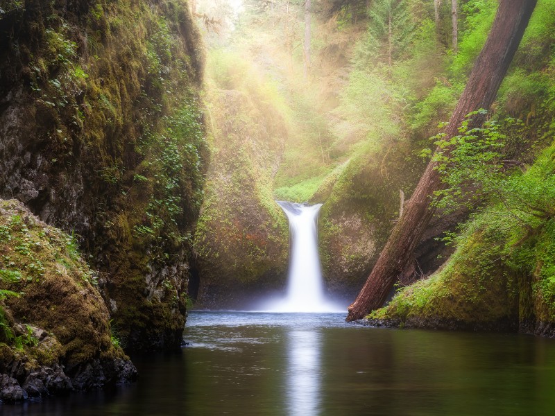 Punch Bowl Falls on Eagle Creek in the Columbia Gorge, Oregon